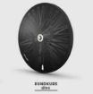 Изображение Lightweight Rundkurs / Rundkurs Disc