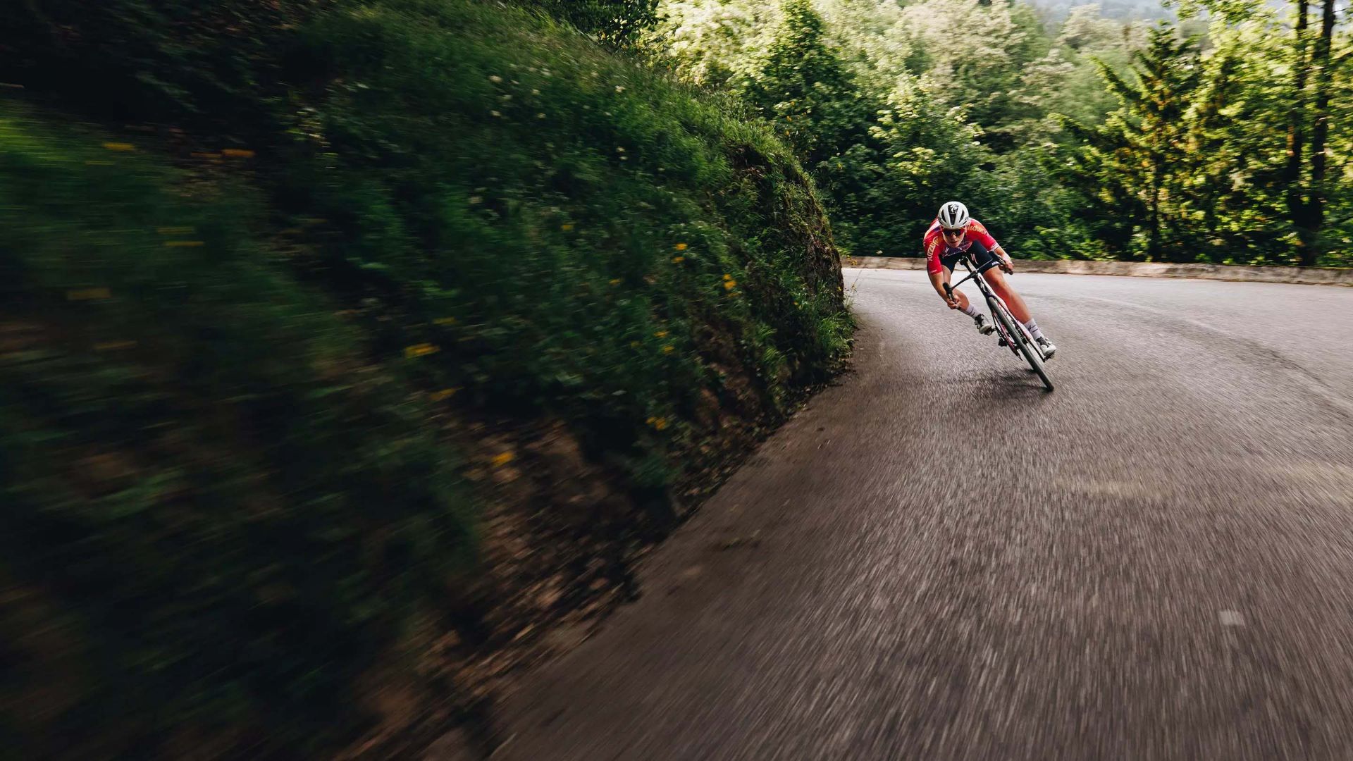 Изображение для категории Specialized